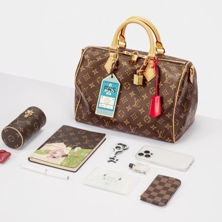 LV Speedy Soft 30 Crafty