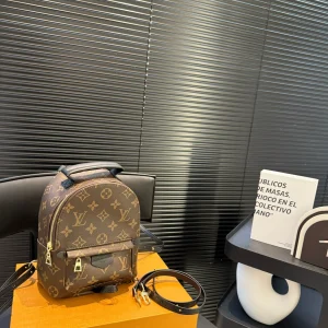Louis Vuitton Palm Springs Backpack Mini, 16x22cm, Item 28965ba