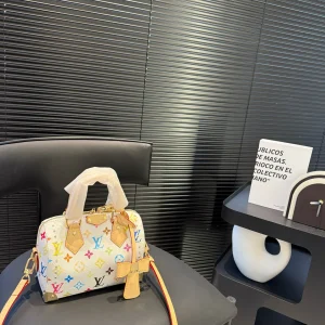 Louis Vuitton Speedy Bag, 2025 Early Spring Show, Black Leather, 20x14cm, Item 12586