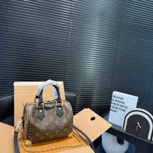 Louis Vuitton Speedy Bag, 2025 Early Spring Show, Black Leather, 20x14cm, Item 13146hy