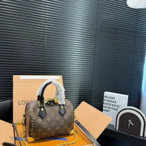 Louis Vuitton Speedy Bag, 2025 Early Spring Show, Black Leather, 20x14cm, Item 46881t